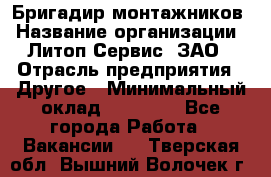 Бригадир монтажников › Название организации ­ Литоп-Сервис, ЗАО › Отрасль предприятия ­ Другое › Минимальный оклад ­ 23 000 - Все города Работа » Вакансии   . Тверская обл.,Вышний Волочек г.